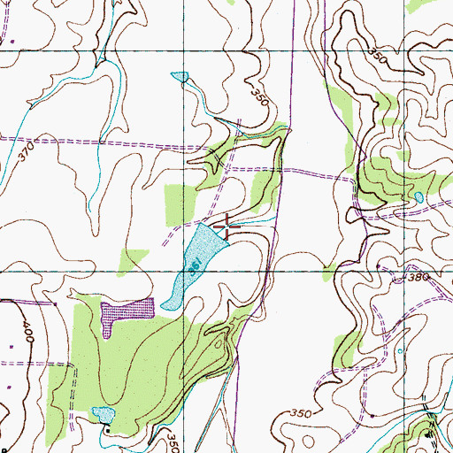 Topographic Map of Wells Land Company Lake Dam, TN