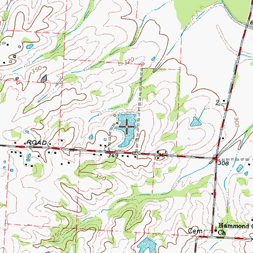 Topographic Map of Robert G Drewrys Lake, TN
