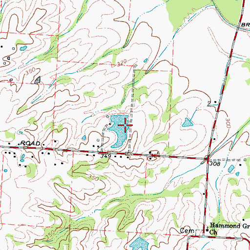 Topographic Map of Robert G Drewrys Lake Dam, TN