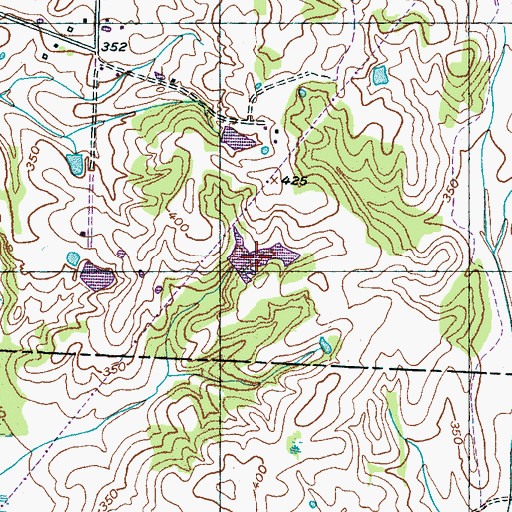 Topographic Map of Pat Mann Lake, TN