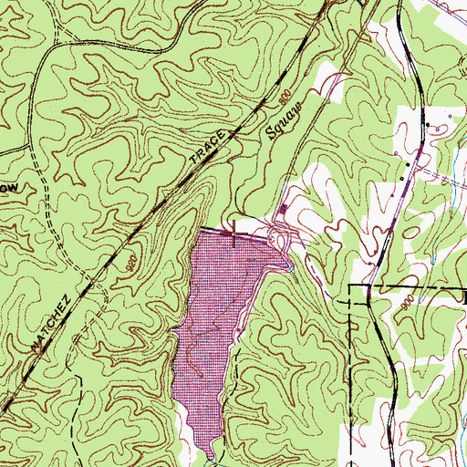 Topographic Map of Dan Maddox Fishing Lake Dam, TN