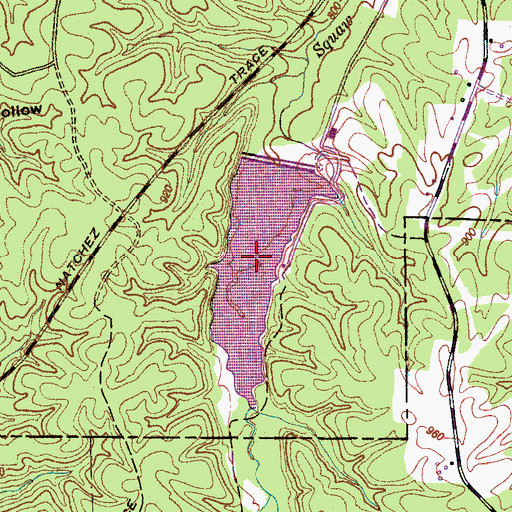 Topographic Map of Dan Maddox Fishing Lake, TN