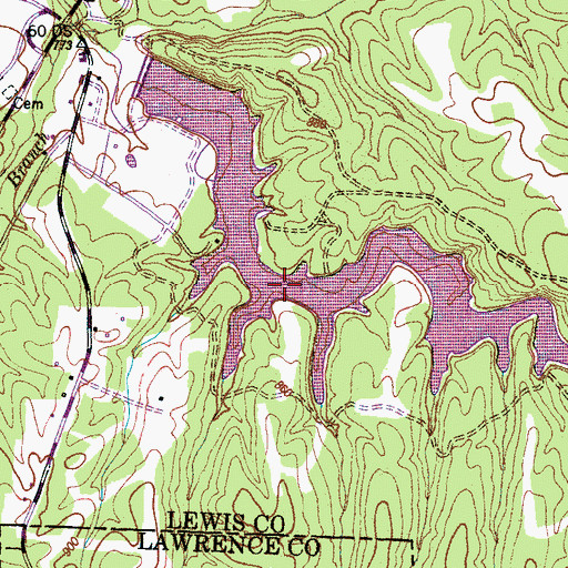 Topographic Map of Dan Maddox Lake, TN