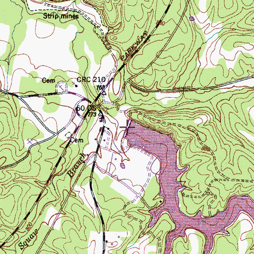 Topographic Map of Dan Maddox Dam, TN
