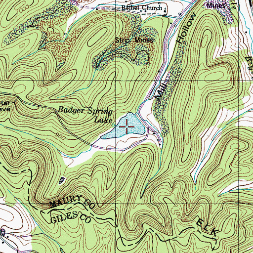 Topographic Map of Badger Spring Lake, TN