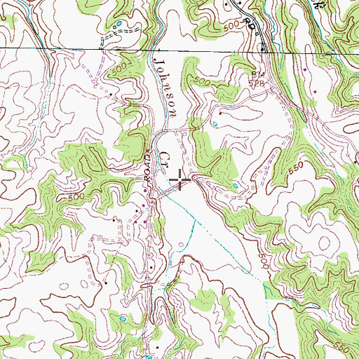 Topographic Map of Johnson Creek Lake Two, TN