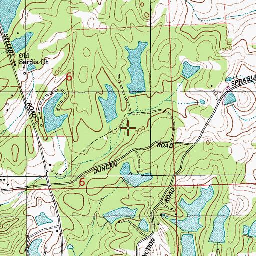 Topographic Map of Weil Dam, AL