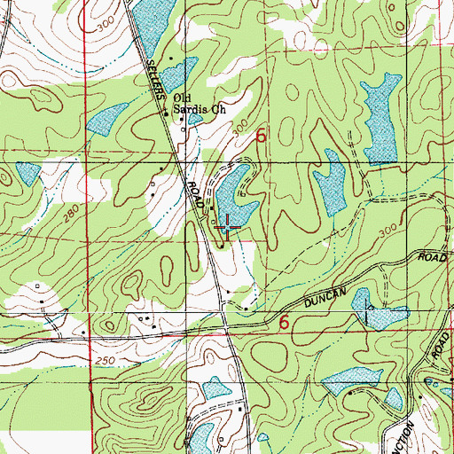 Topographic Map of Flowers Dam, AL