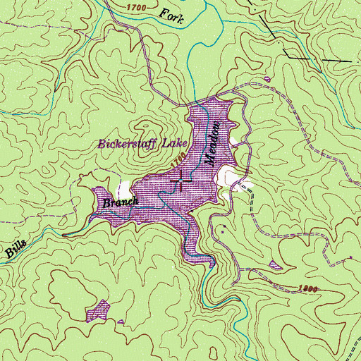 Topographic Map of Bickerstaff Lake, TN