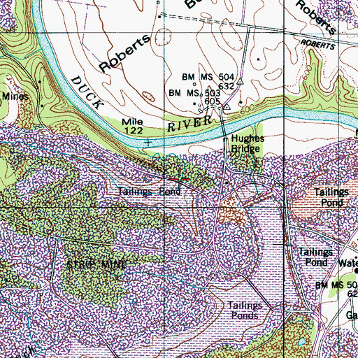 Topographic Map of Tailings Pond Number Eleven, TN