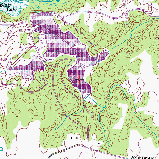 Topographic Map of Fern Lake, TN