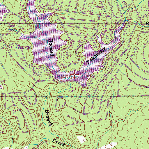 Topographic Map of Saint George Lake, TN