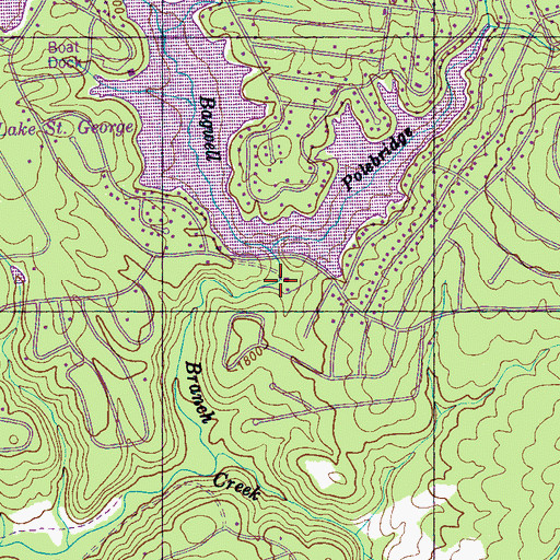 Topographic Map of Saint George Lake Dam, TN