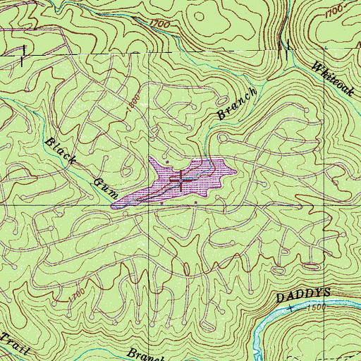 Topographic Map of Lake Pomeroy, TN