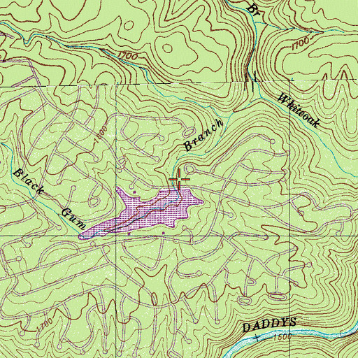 Topographic Map of Lake Pomeroy Dam, TN