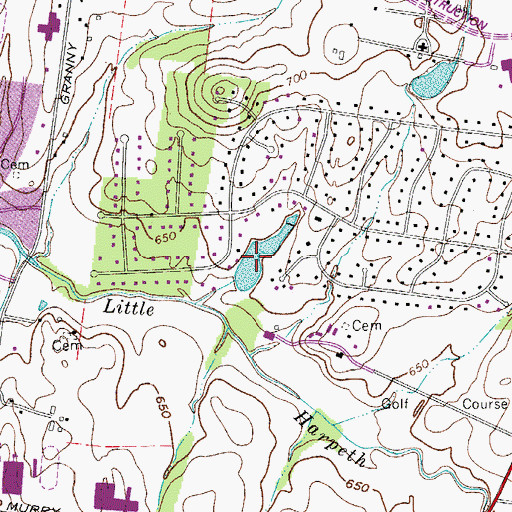 Topographic Map of Dyer Lake, TN