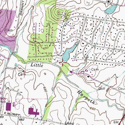 Topographic Map of Dyer Lake Dam, TN