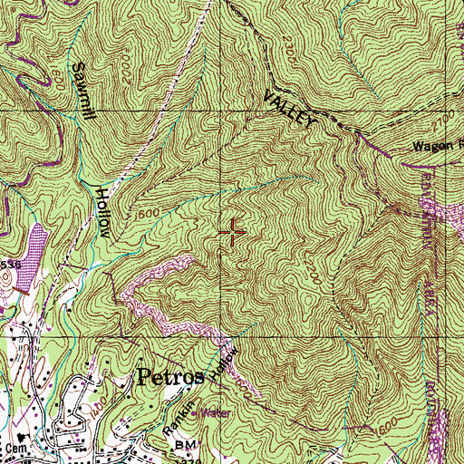 Topographic Map of Brushy Mountain Reservoir, TN