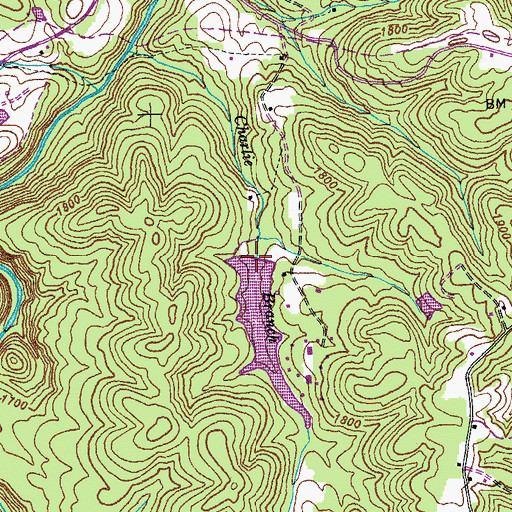 Topographic Map of Lad Lake Dam, TN