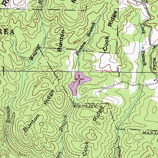 Topographic Map of Odom Trout Lake, TN