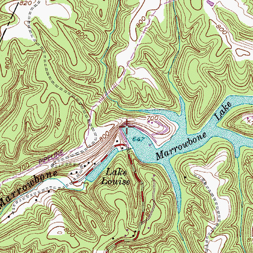 Topographic Map of Marrowbone Dam, TN