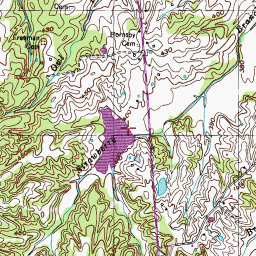 Topographic Map of Cypress Creek Dam Number Eleven, TN