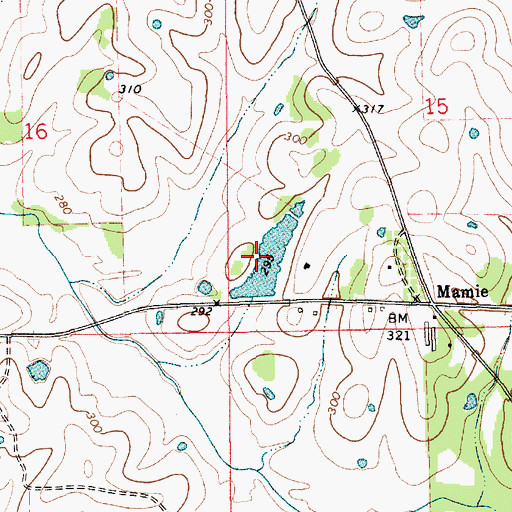 Topographic Map of W R Turnipseed Dam, AL