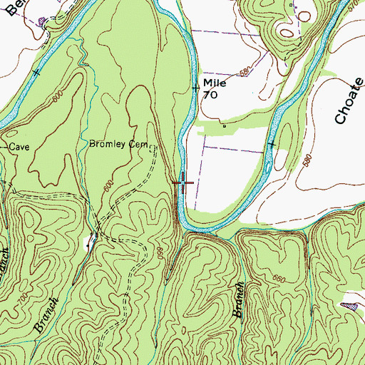 Topographic Map of Bromley Ford, TN