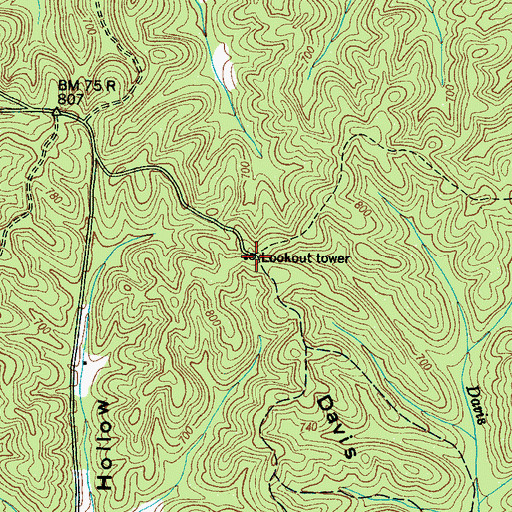 Topographic Map of Davis Hill, TN