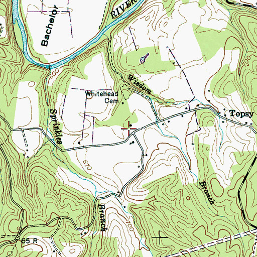 Topographic Map of Topsey School (historical), TN
