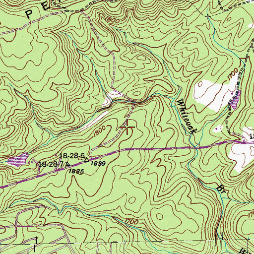 Topographic Map of Berkshire Forest, TN