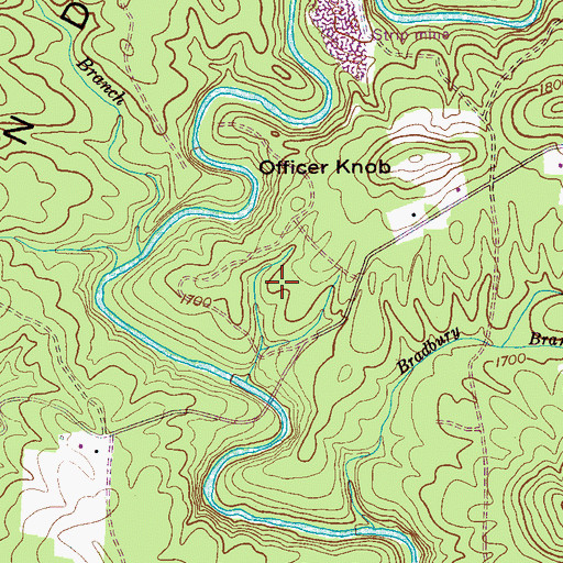 Topographic Map of Pinedale, TN