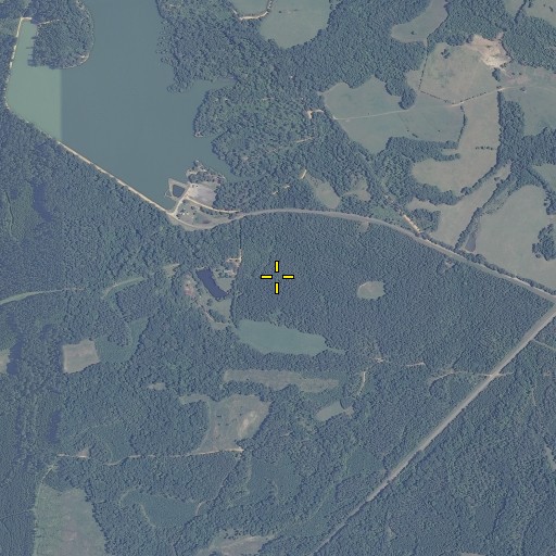 Aerial/Satellite Image of Dallas County Public Lake, AL