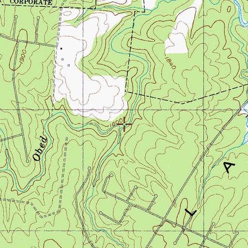 Topographic Map of Spring Branch, TN