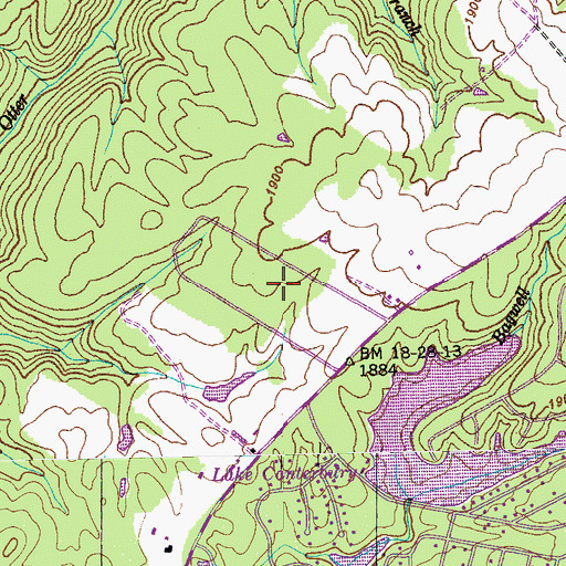 Topographic Map of Woodlands, TN