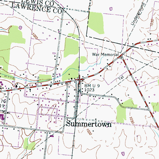 Topographic Map of Crestview, TN
