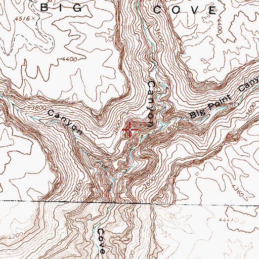 Topographic Map of Big Cove, AZ