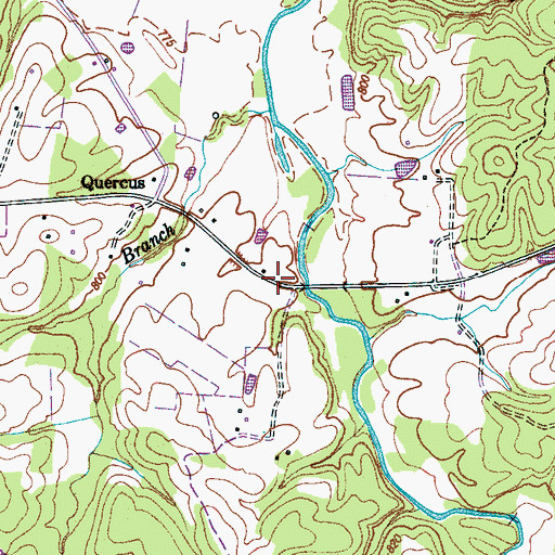 Topographic Map of Lindauer (historical), TN