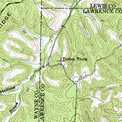 Topographic Map of Turkey Track Church, TN