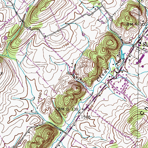 Topographic Map of Chalybeate Spring, TN