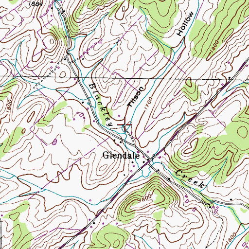 Topographic Map of Martin Spring, TN