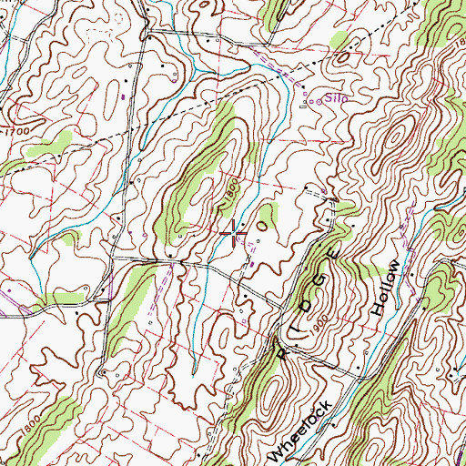 Topographic Map of Wheelock Spring, TN
