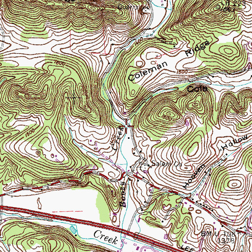 Topographic Map of Cole Branch, TN