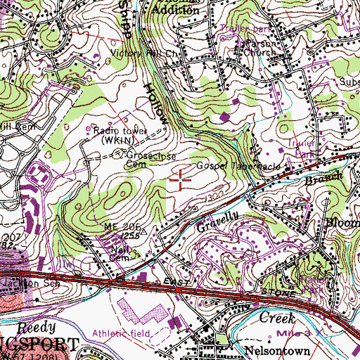 Topographic Map of Roach Branch, TN