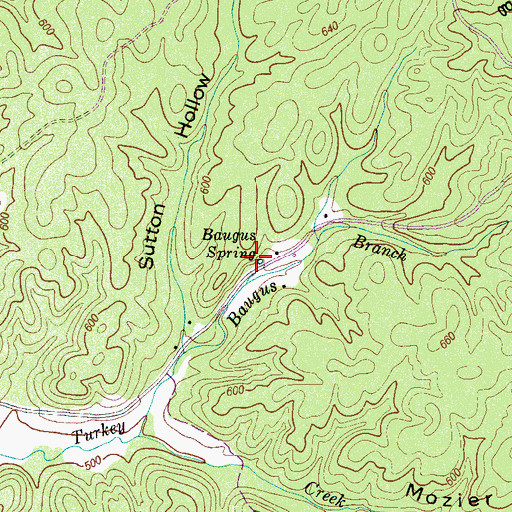 Topographic Map of Baugus Spring, TN