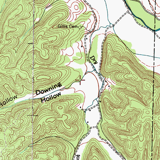 Topographic Map of Downing Hollow, TN