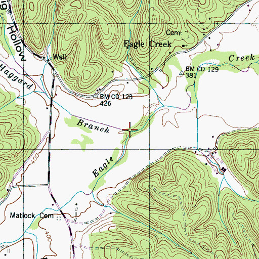 Topographic Map of Haggard Branch, TN