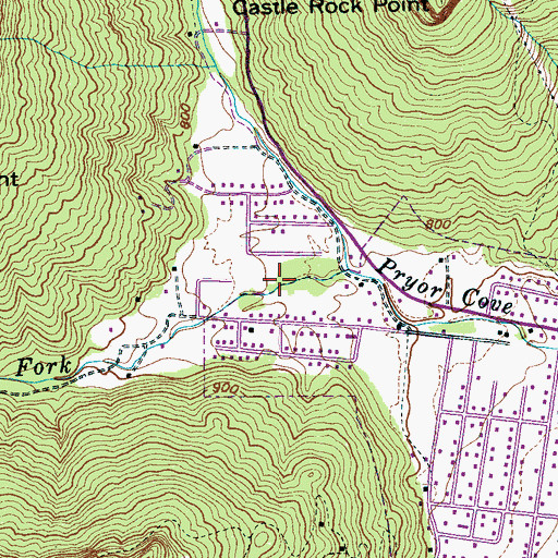 Topographic Map of Pryor Cove, TN