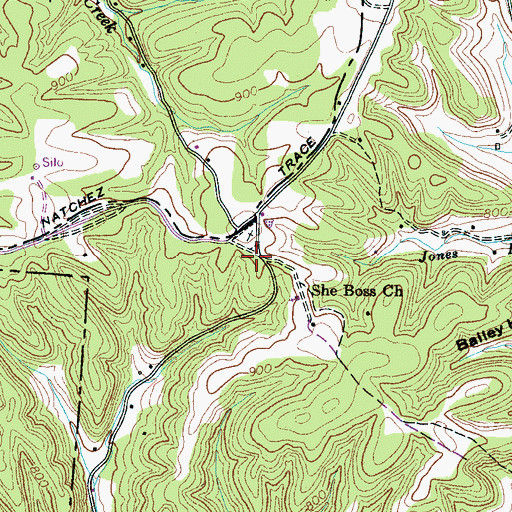 Topographic Map of She Boss Church, TN
