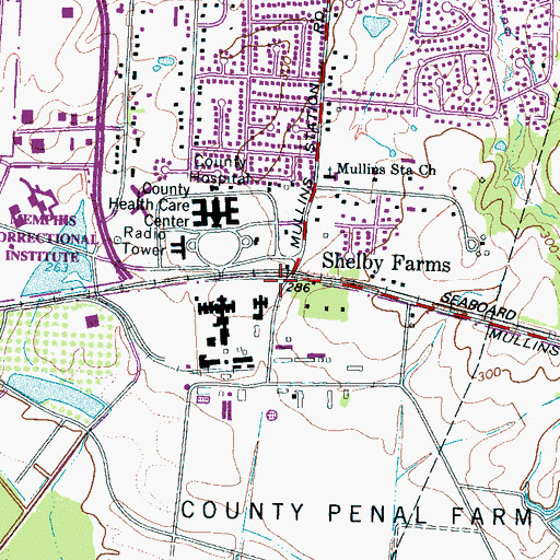 Topographic Map of Shelby Farms, TN